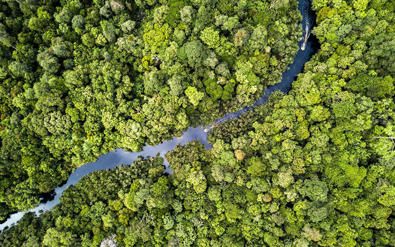 Izin Pinjam Pakai Kawasan Hutan (IPPKH)