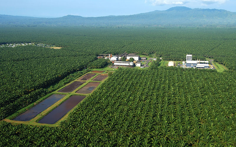 Perizinan Perekebunan (IUP, IUP-B, IUP-P, SPUP)